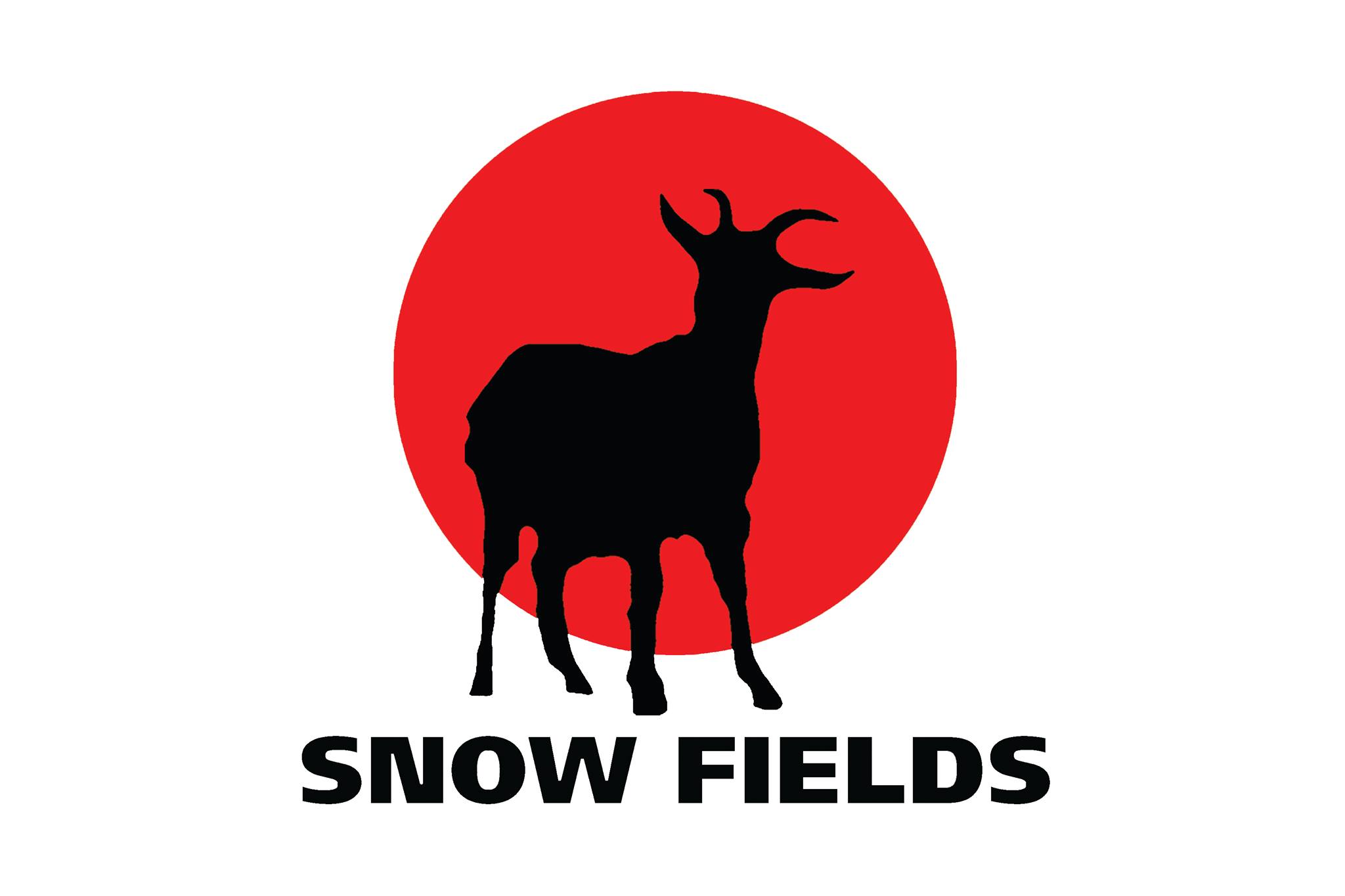 Snow Fields